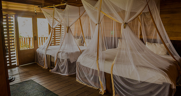 Habitación Cuádruple