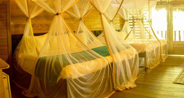 Habitación Cuádruple del Hotel Amazon