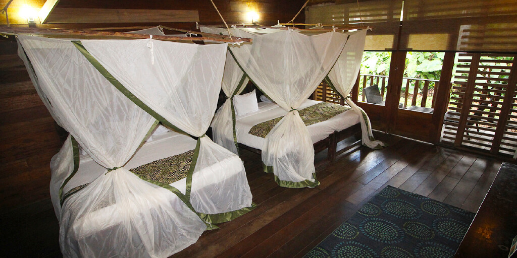 Habitación con varias camas bajo toldillo, abierta a la selva