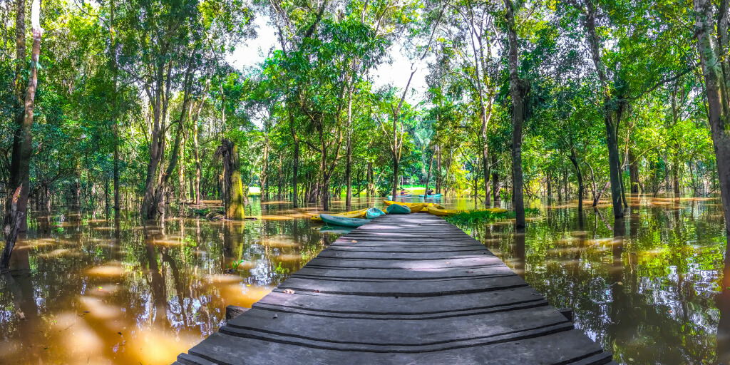 Muelle de madera entre los árboles inundados, con los kayaks del hotel al fondo