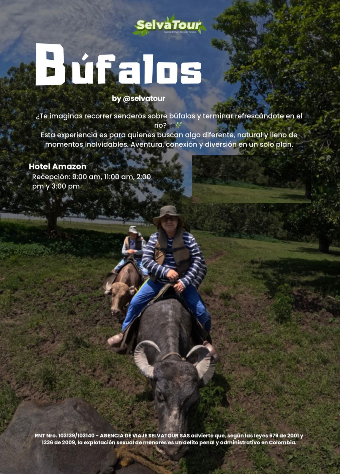 Flyer del paseo en búfalos